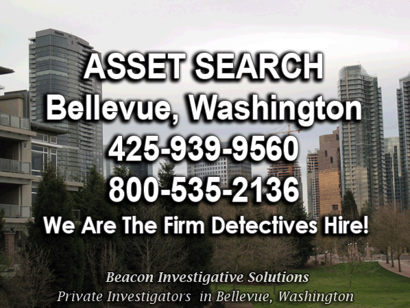 Bellevue Washington Asset Search
