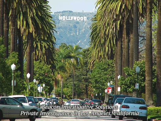 Los Angeles Private Investigator