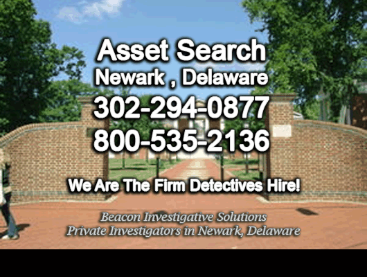 Newark Delaware Asset Search