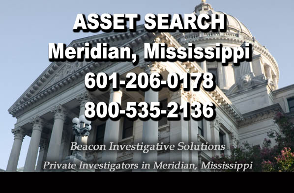 Meridian Mississippi Asset Search