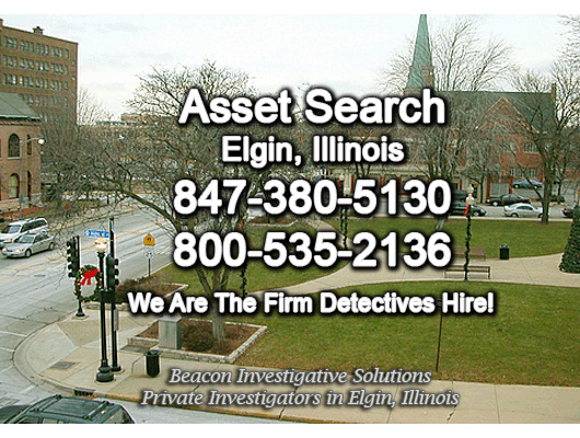 Elgin Illinois Asset Search