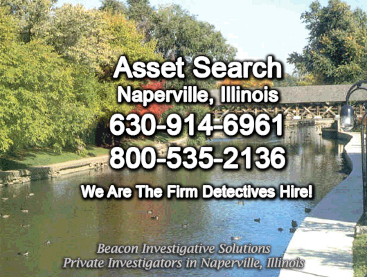 Naperville Illinois Asset Search